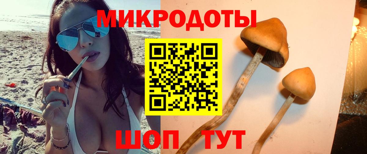 Галлюциногенные грибы прущие грибы Лениногорск
