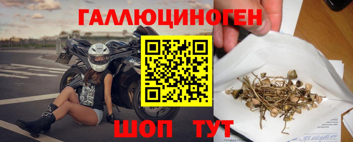 Псилоцибиновые грибы GOLDEN TEACHER  Вход с VPN  Лениногорск  Галлюциногенные грибы прущие грибы 